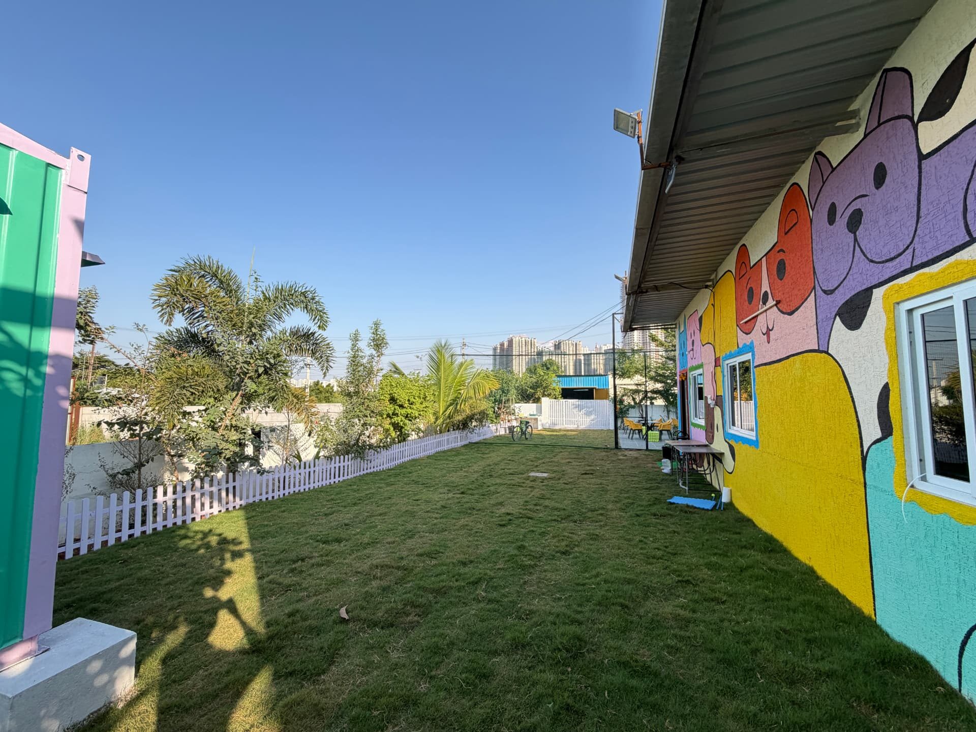 The open grass play yard at Pawkie Planet